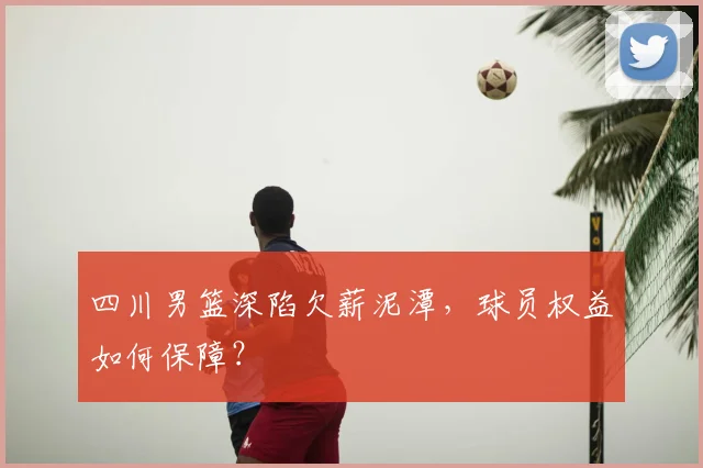 四川男篮深陷欠薪泥潭，球员权益如何保障？