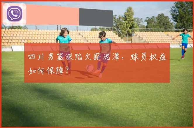 四川男篮深陷欠薪泥潭，球员权益如何保障？