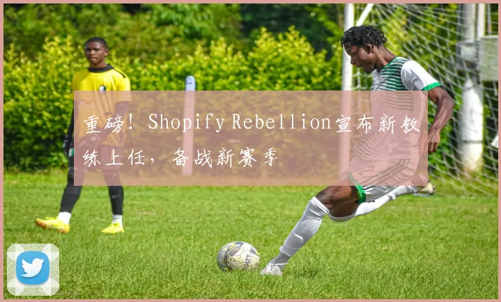 重磅！Shopify Rebellion宣布新教练上任，备战新赛季